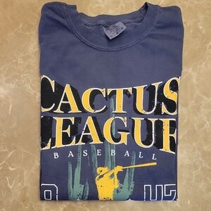 Comfort Colors Classic Gray Short-Sleeved Tee AZ Spring Training,  L